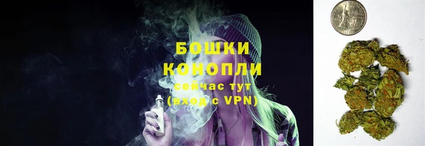 spice Армянск