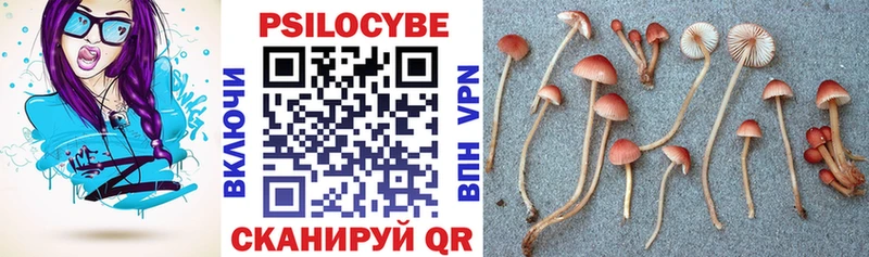 Псилоцибиновые грибы ЛСД  наркота  Лысково 